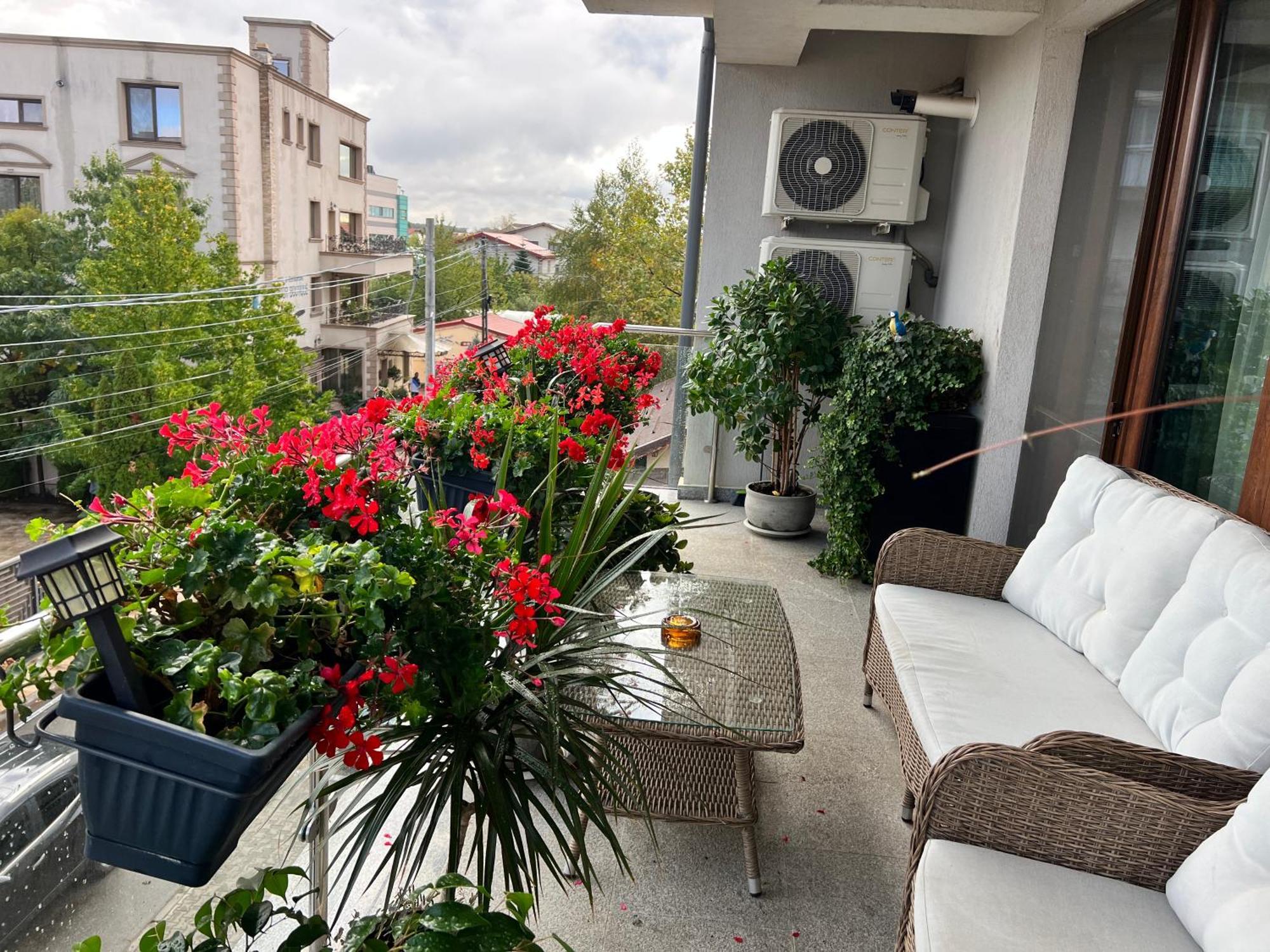 Aviator Boutique Residence オトペニ エクステリア 写真